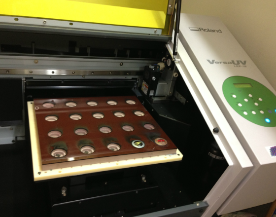 RolandDG VersaWorks LEF-12